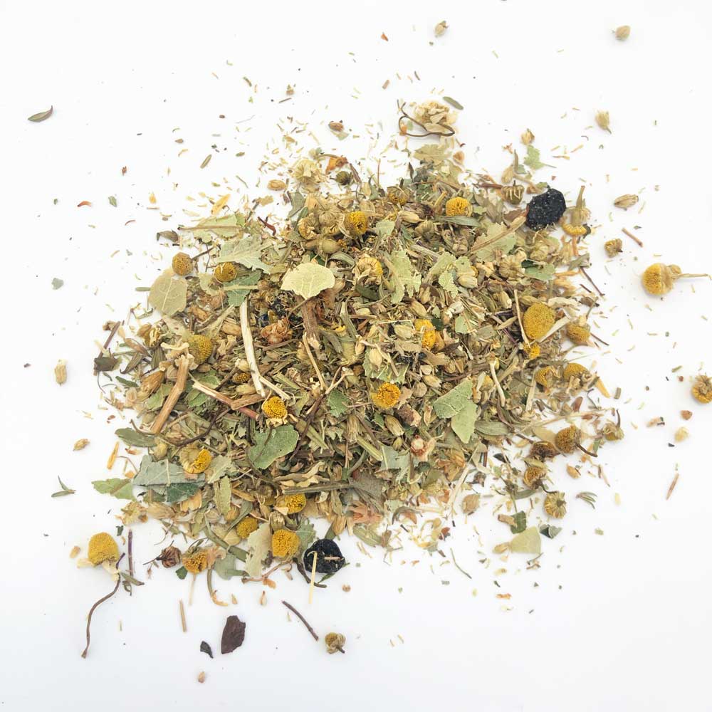 tisana camomilla per conigli e umani