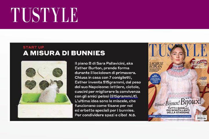 Start-up a misura di Bunnies