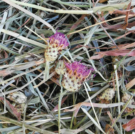 AUTUMN KIT - L'unboxing per momenti di relax da condividere