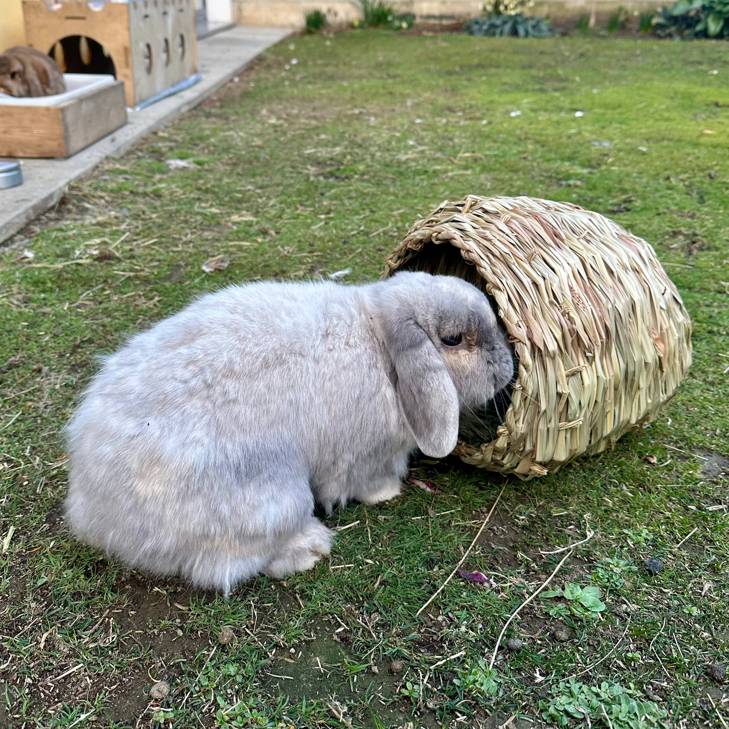 BUNGALOW