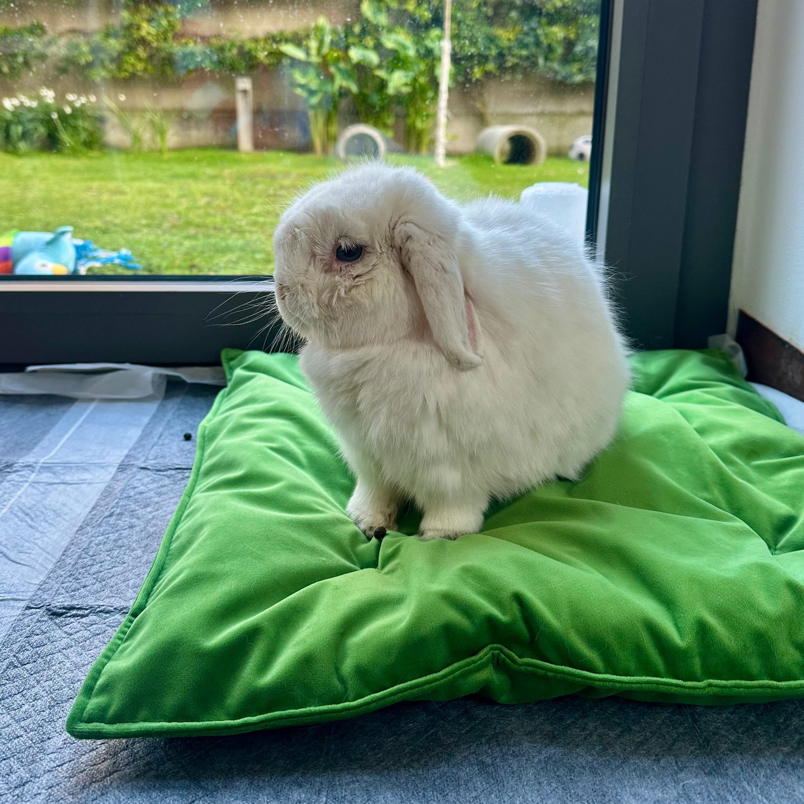 PILLOVE QUADRATO - Relax&BunnyDreams