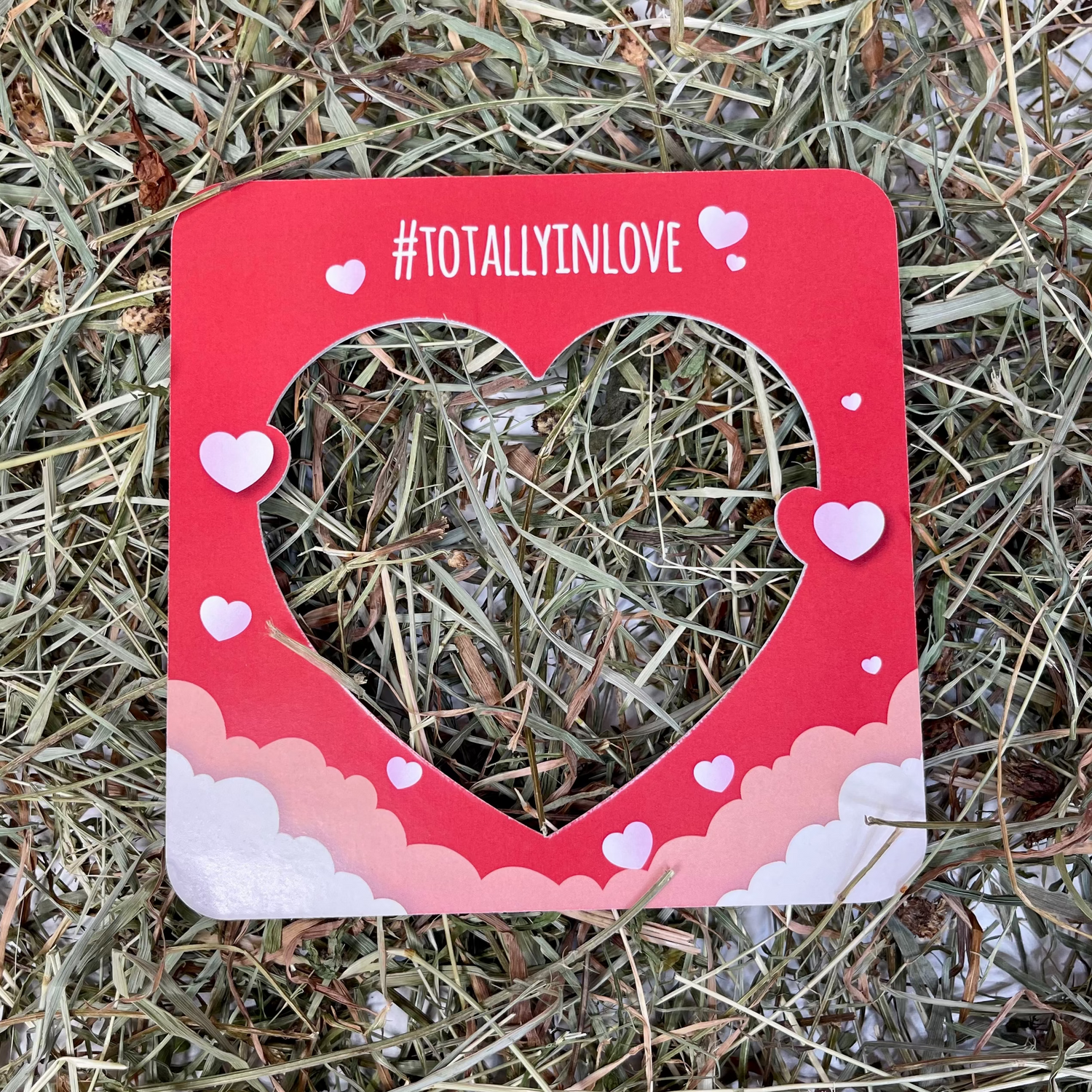 PHOTOBOOTH TOTALLY IN LOVE