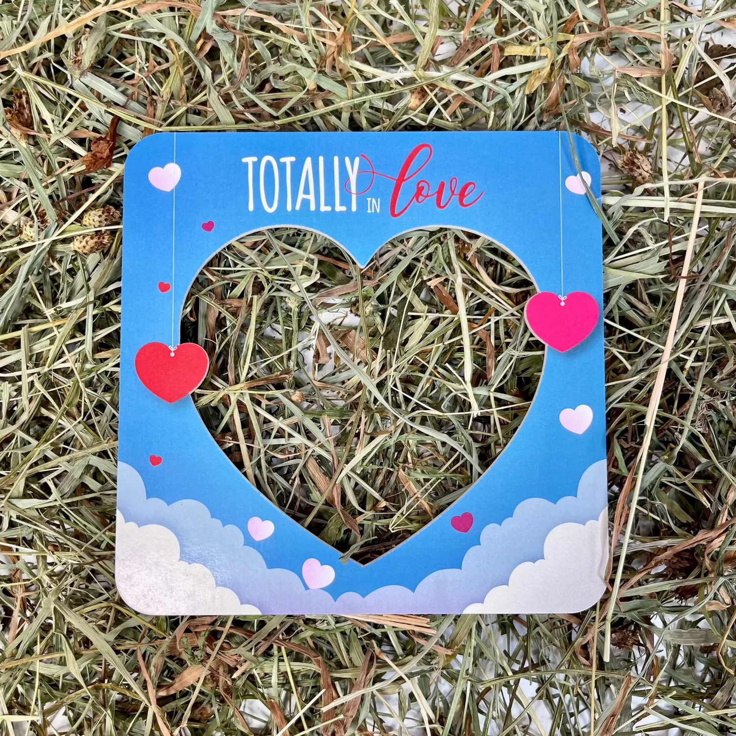 PHOTOBOOTH TOTALLY IN LOVE