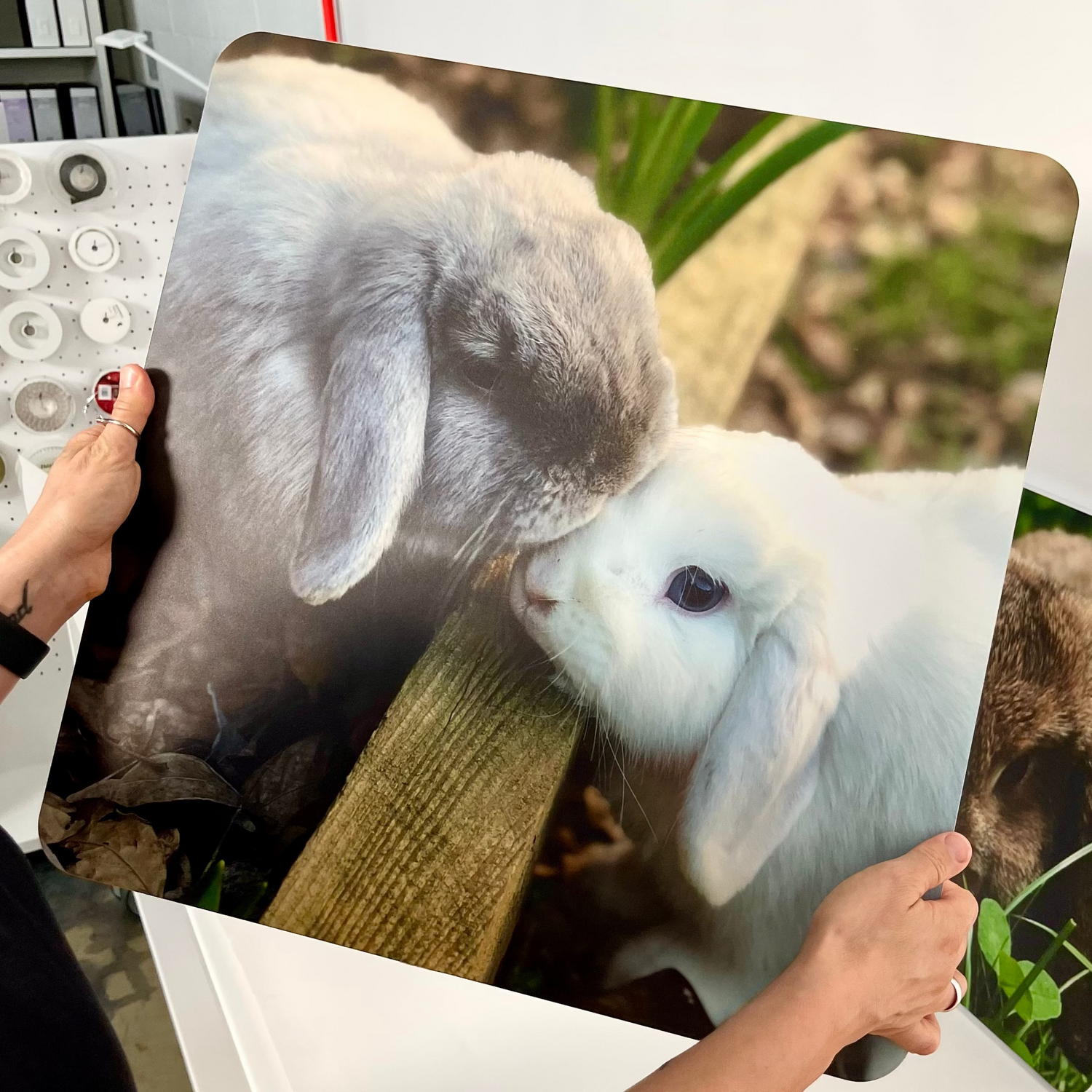 BUNNY RITRATTO