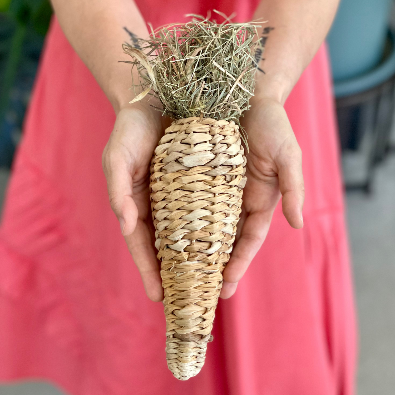 CAROTA GOLOSA - ripiena di prelibatezze lapine