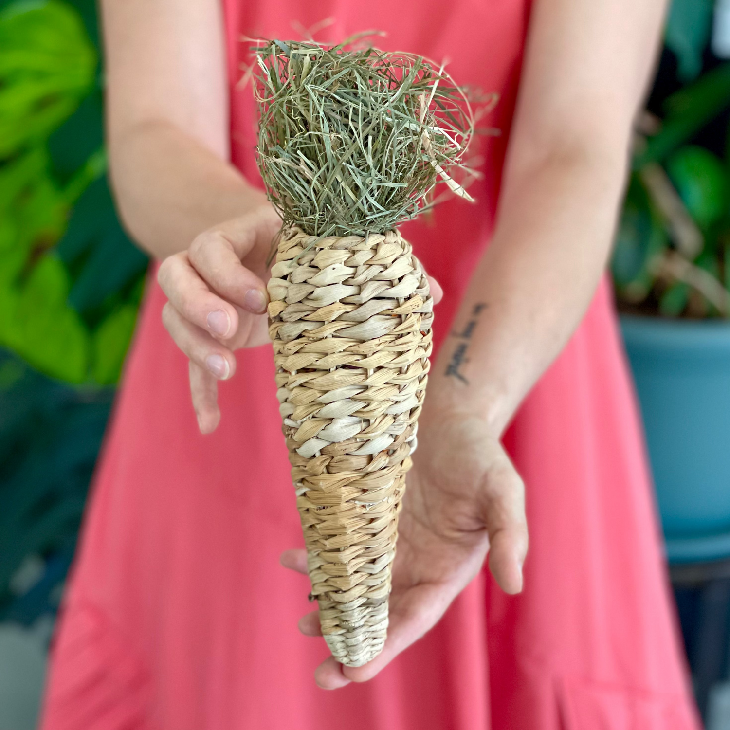 CAROTA GOLOSA - ripiena di prelibatezze lapine