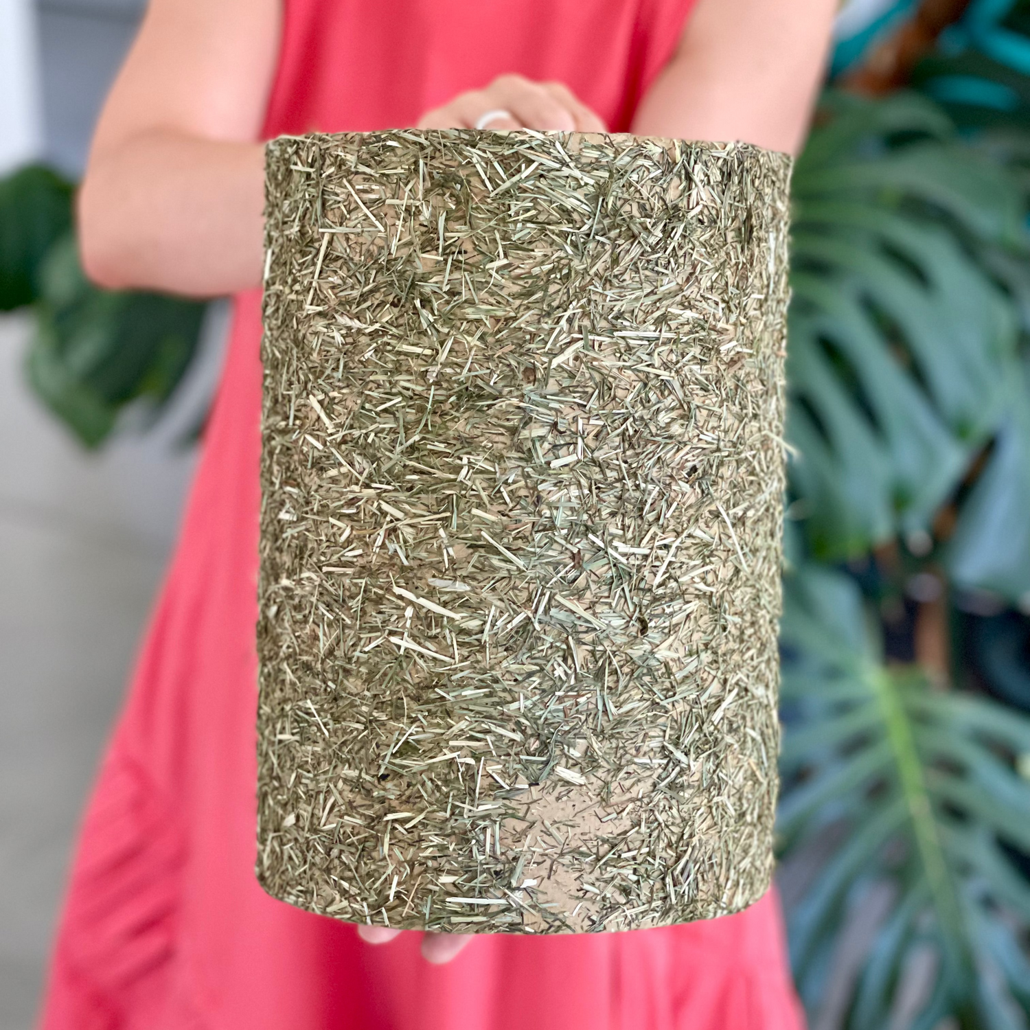 EDIBLE TUNNEL