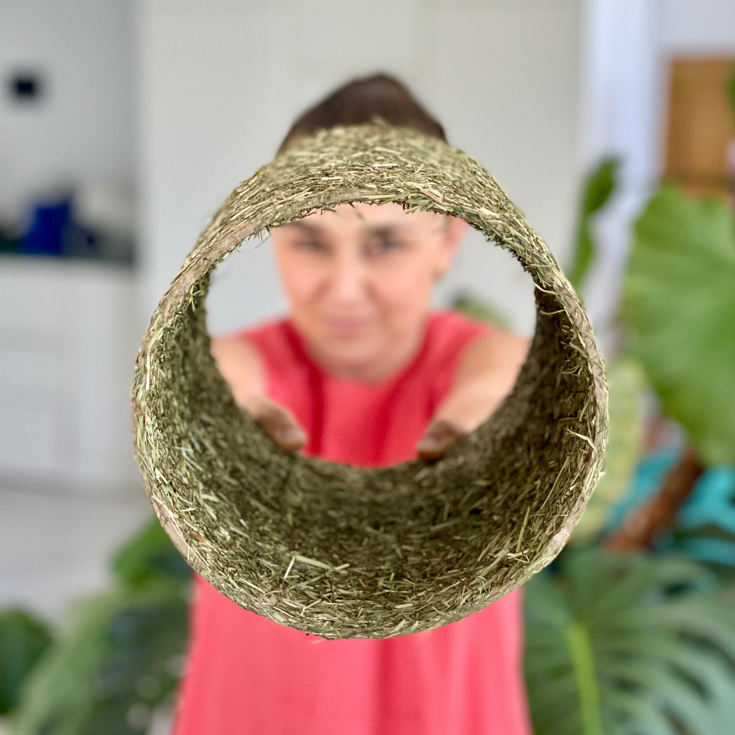 EDIBLE TUNNEL