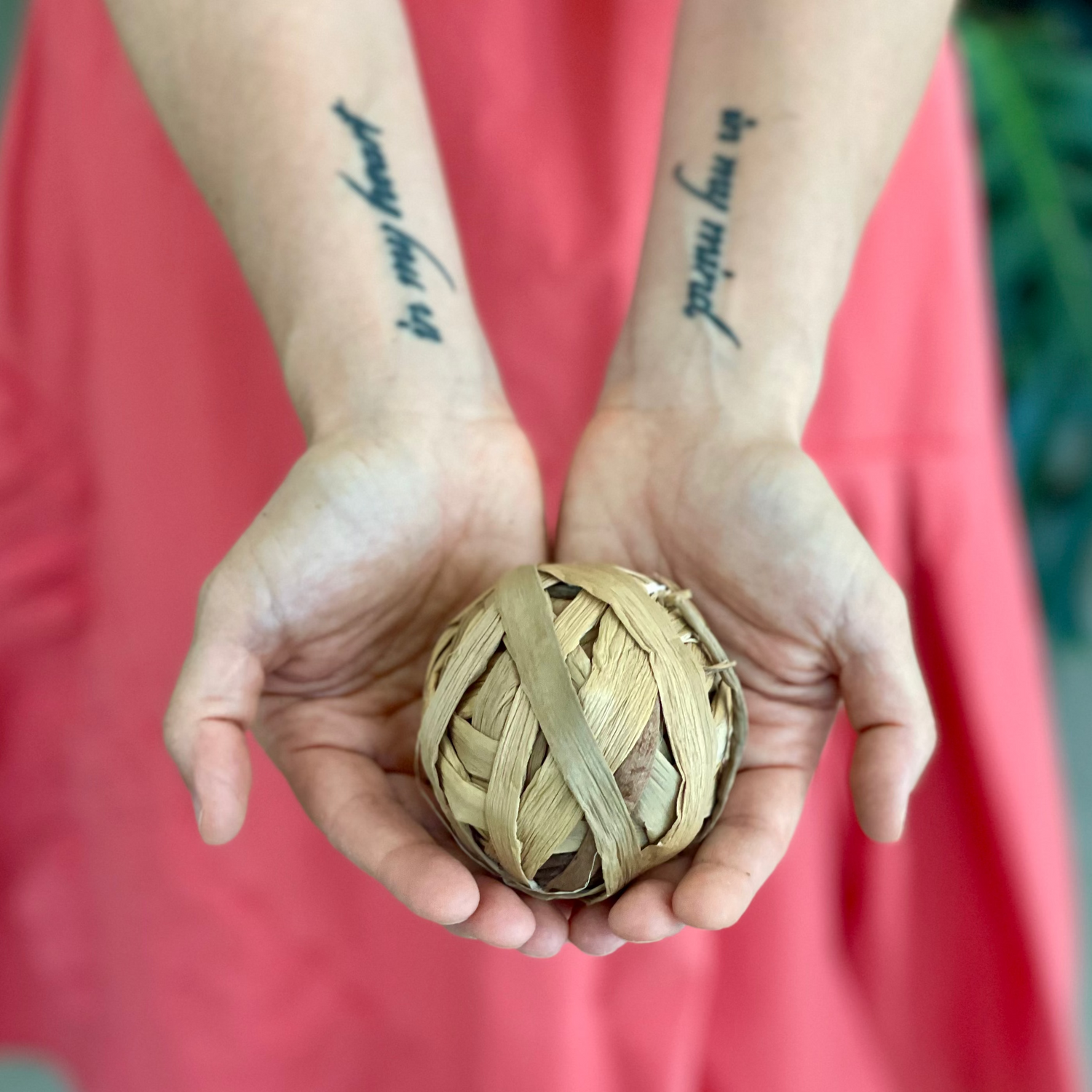 PALLINE ROSICCHIABILI