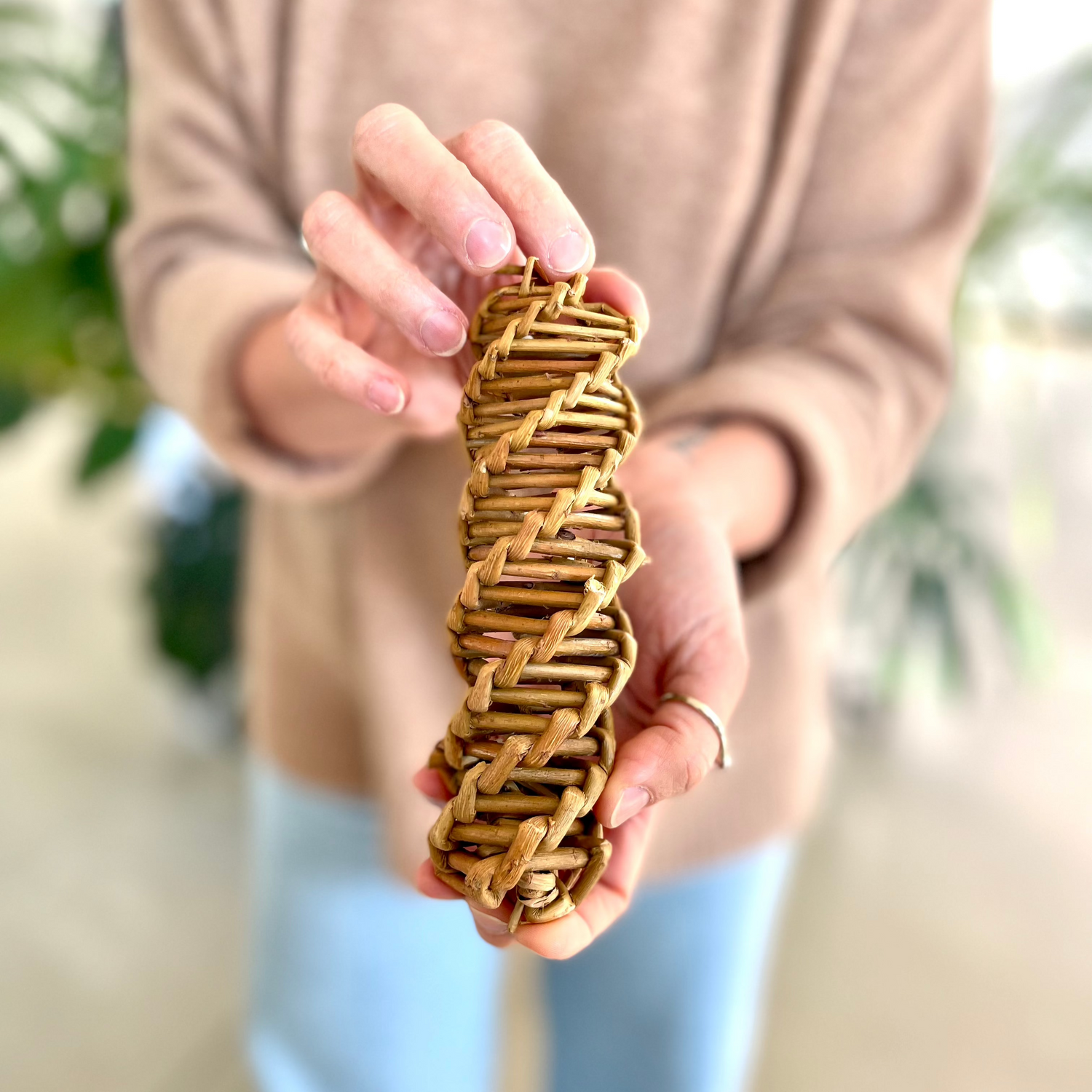 SPIRALE DI SALICE
