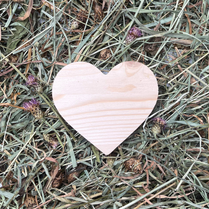 CUORICINO ROSICCHIABILE