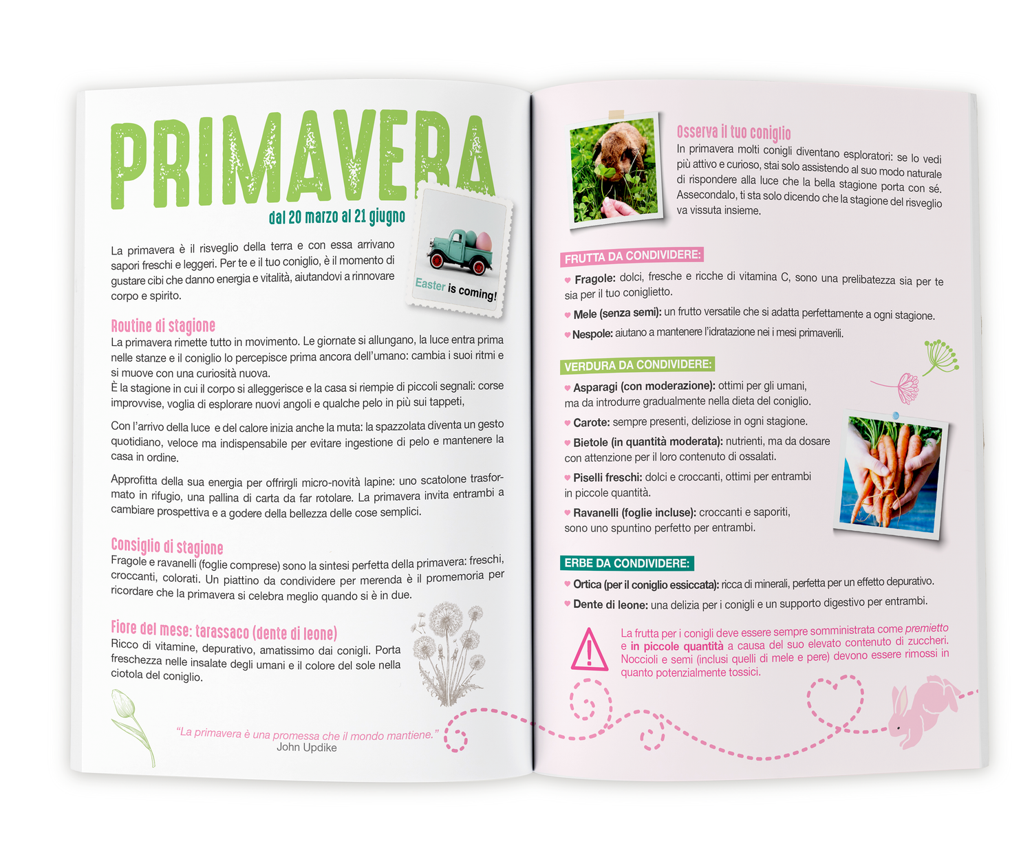 "L'AGENDA DEL BUNNYLOVER 2026" . Agenda giornaliera