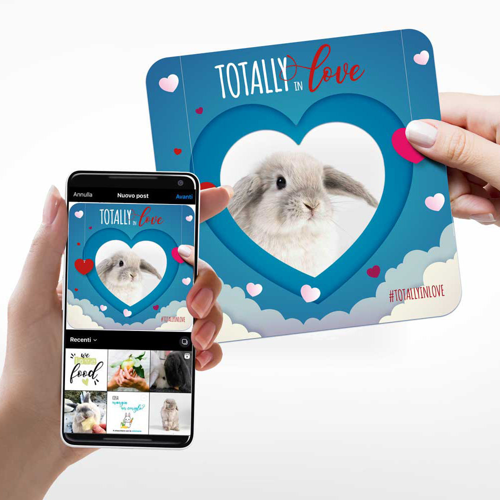 TOTALLY IN LOVE KIT