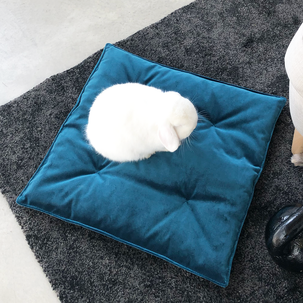 cuscino per conigli