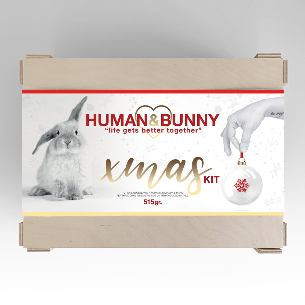 XMAS KIT