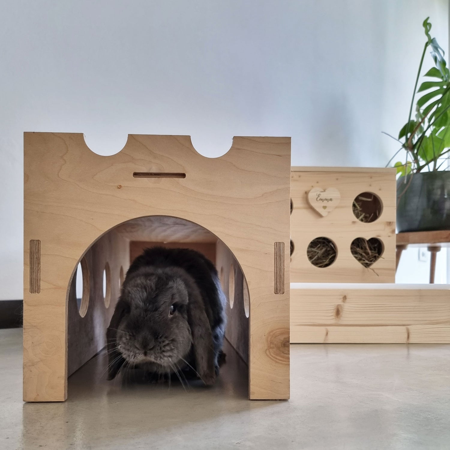 BUNNY TUNNEL